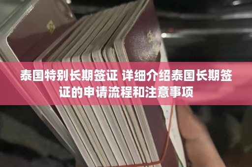 泰国特别长期签证 详细介绍泰国长期签证的申请流程和注意事项