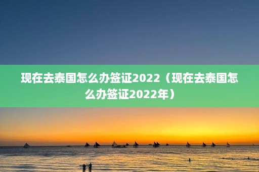 现在去泰国怎么办签证2022（现在去泰国怎么办签证2022年）