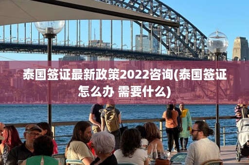 泰国签证最新政策2022咨询(泰国签证怎么办 需要什么)  第1张