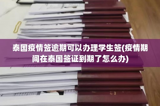 泰国疫情签逾期可以办理学生签(疫情期间在泰国签证到期了怎么办)  第1张