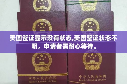 美国签证显示没有状态,美国签证状态不明，申请者需耐心等待。  第1张