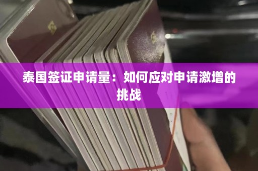 泰国签证申请量：如何应对申请激增的挑战  第1张