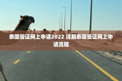 泰国签证网上申请2022 详解泰国签证网上申请流程