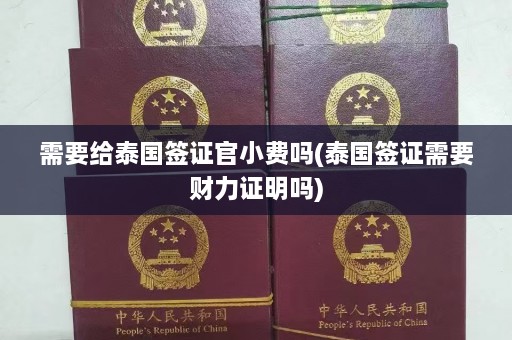 需要给泰国签证官小费吗(泰国签证需要财力证明吗)  第1张