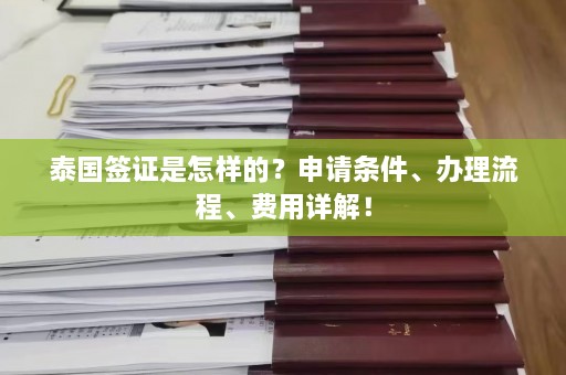 泰国签证是怎样的？申请条件、办理流程、费用详解！  第1张