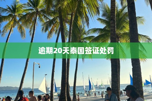 逾期20天泰国签证处罚  第1张