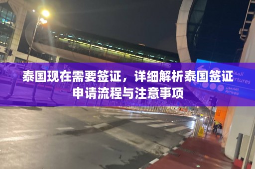 泰国现在需要签证，详细解析泰国签证申请流程与注意事项  第1张