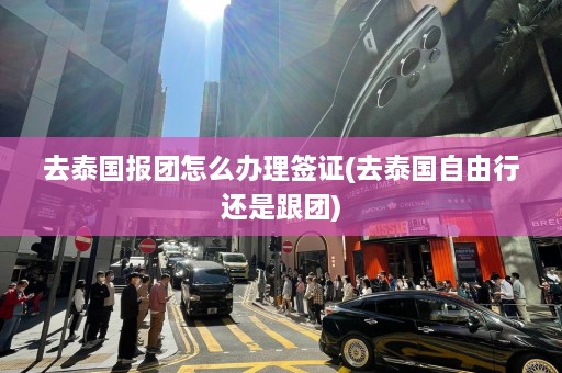 去泰国报团怎么办理签证(去泰国自由行还是跟团)  第1张