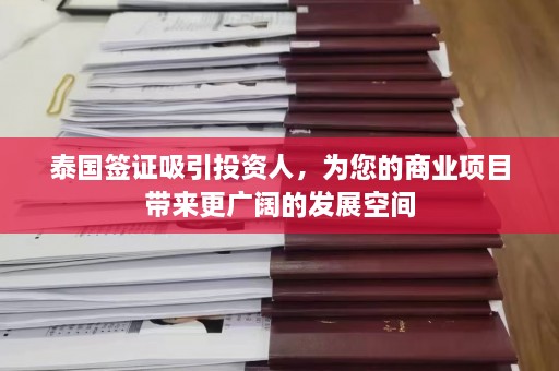 泰国签证吸引投资人，为您的商业项目带来更广阔的发展空间  第1张