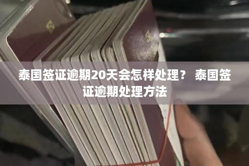 泰国签证逾期20天会怎样处理？ 泰国签证逾期处理 ***   第1张