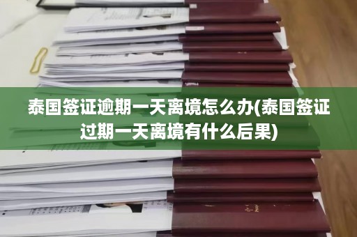 泰国签证逾期一天离境怎么办(泰国签证过期一天离境有什么后果)  第1张