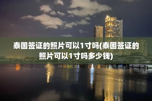 泰国签证的照片可以1寸吗(泰国签证的照片可以1寸吗多少钱)  第1张