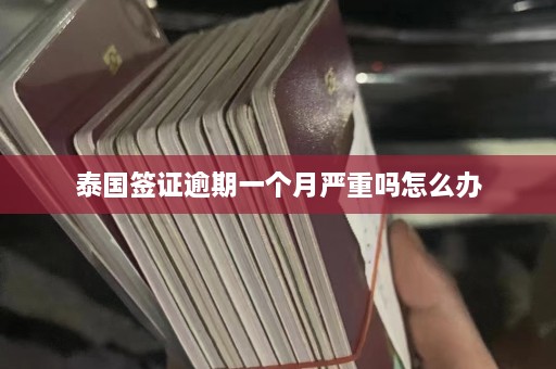 泰国签证逾期一个月严重吗怎么办  第1张