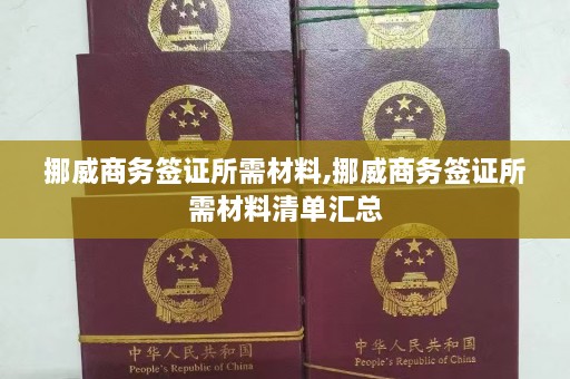 挪威商务签证所需材料,挪威商务签证所需材料清单汇总  第1张