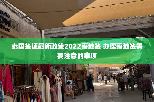 泰国签证最新政策2022落地签 办理落地签需要注意的事项