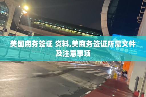 美国商务签证 资料,美商务签证所需文件及注意事项  第1张