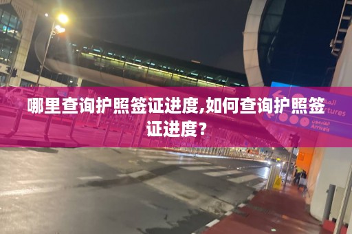 哪里查询护照签证进度,如何查询护照签证进度？  第1张