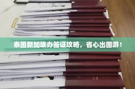 泰国新加坡办签证攻略，省心出国游！  第1张