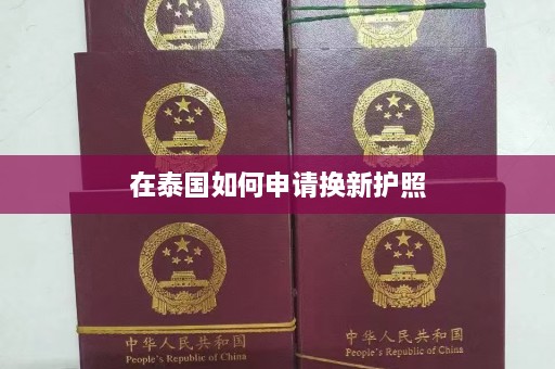 在泰国如何申请换新护照  第1张