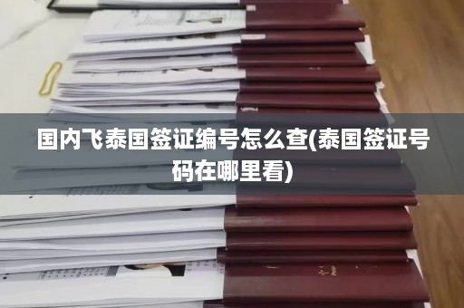 国内飞泰国签证编号怎么查(泰国签证号码在哪里看)  第1张