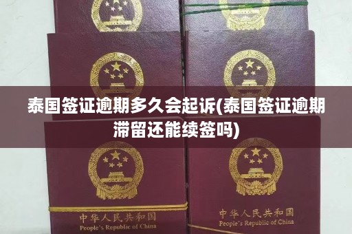 泰国签证逾期多久会起诉(泰国签证逾期滞留还能续签吗)  第1张