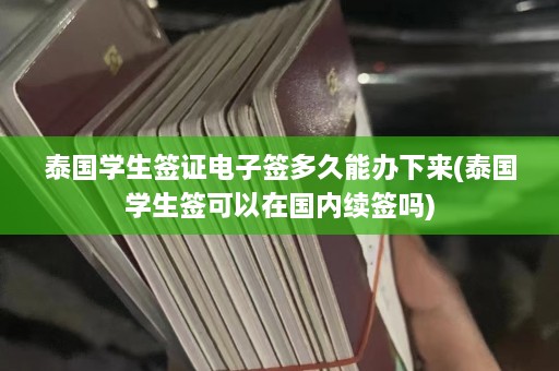 泰国学生签证电子签多久能办下来(泰国学生签可以在国内续签吗)  第1张