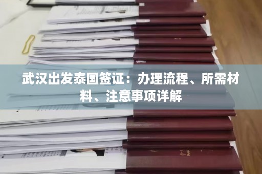 武汉出发泰国签证：办理流程、所需材料、注意事项详解  第1张