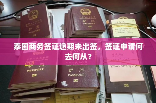 泰国商务签证逾期未出签，签证申请何去何从？