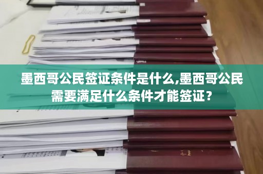 墨西哥公民签证条件是什么,墨西哥公民需要满足什么条件才能签证？