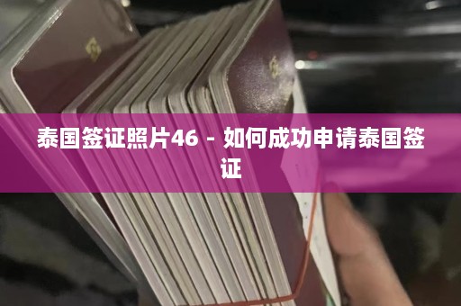 泰国签证照片46 - 如何成功申请泰国签证  第1张