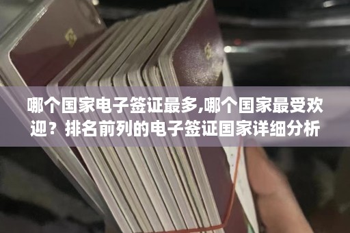 哪个国家电子签证最多,哪个国家最受欢迎？排名前列的电子签证国家详细分析  第1张