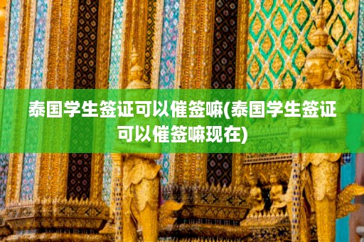 泰国学生签证可以催签嘛(泰国学生签证可以催签嘛现在)  第1张