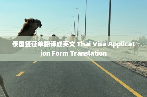 泰国签证单翻译成英文 Thai Visa Application Form Translation