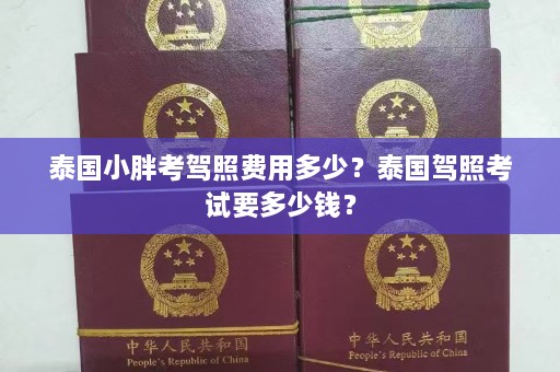 泰国小胖考驾照费用多少？泰国驾照考试要多少钱？