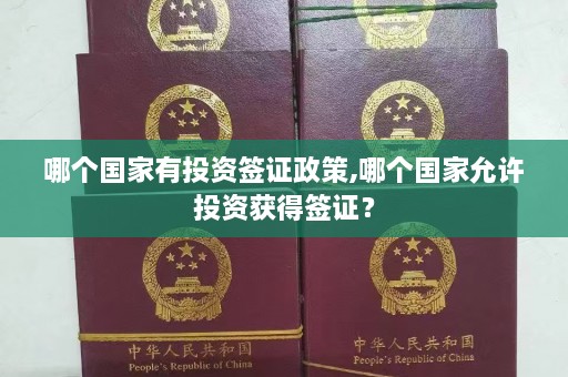 哪个国家有投资签证政策,哪个国家允许投资获得签证？  第1张