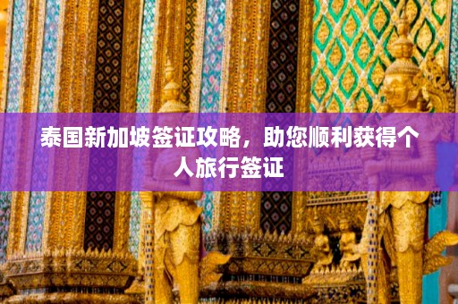 泰国新加坡签证攻略，助您顺利获得个人旅行签证  第1张