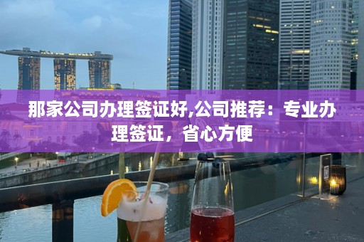 那家公司办理签证好,公司推荐：专业办理签证，省心方便