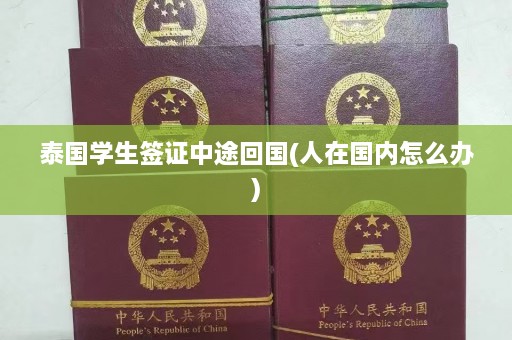 泰国学生签证中途回国(人在国内怎么办)  第1张