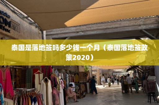 泰国是落地签吗多少钱一个月（泰国落地签政策2020）