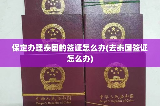 保定办理泰国的签证怎么办(去泰国签证怎么办)  第1张