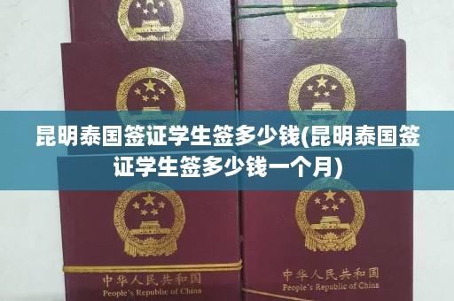 昆明泰国签证学生签多少钱(昆明泰国签证学生签多少钱一个月)  第1张