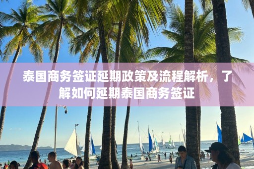 泰国商务签证延期政策及流程解析，了解如何延期泰国商务签证  第1张