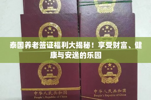 泰国养老签证福利大揭秘！享受财富、健康与安逸的乐园  第1张