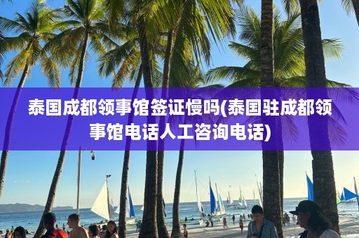 泰国成都领事馆签证慢吗(泰国驻成都领事馆电话人工咨询电话)  第1张