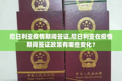 尼日利亚疫情期间签证,尼日利亚在疫情期间签证政策有哪些变化？  第1张