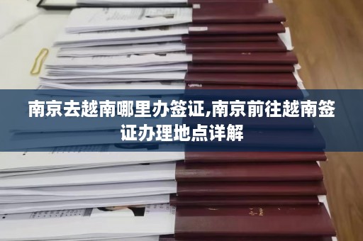 南京去越南哪里办签证,南京前往越南签证办理地点详解  第1张