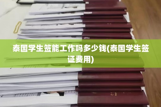 泰国学生签能工作吗多少钱(泰国学生签证费用)  第1张