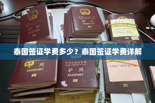 泰国签证学费多少？泰国签证学费详解  第1张