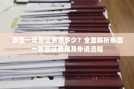 泰国一年签证费用多少？全面解析泰国一年签证费用及申请流程  第1张