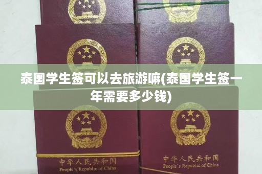 泰国学生签可以去旅游嘛(泰国学生签一年需要多少钱)  第1张